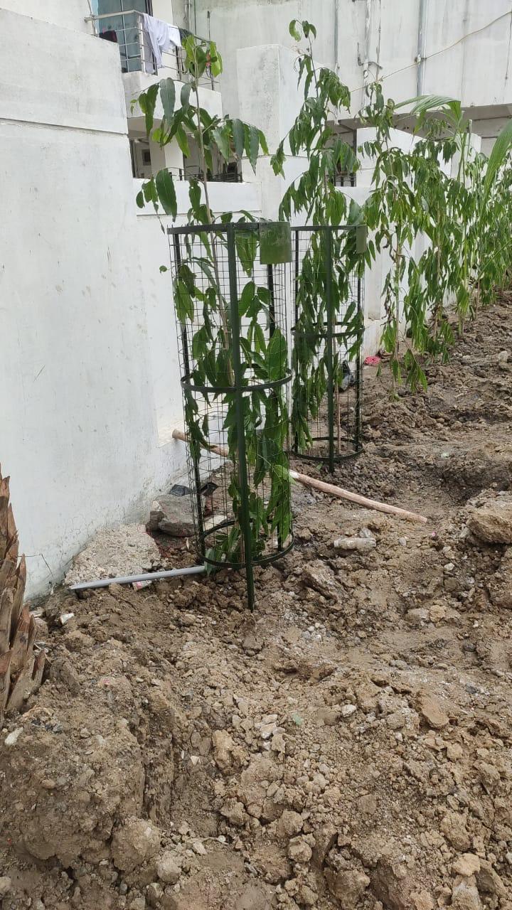 bakul